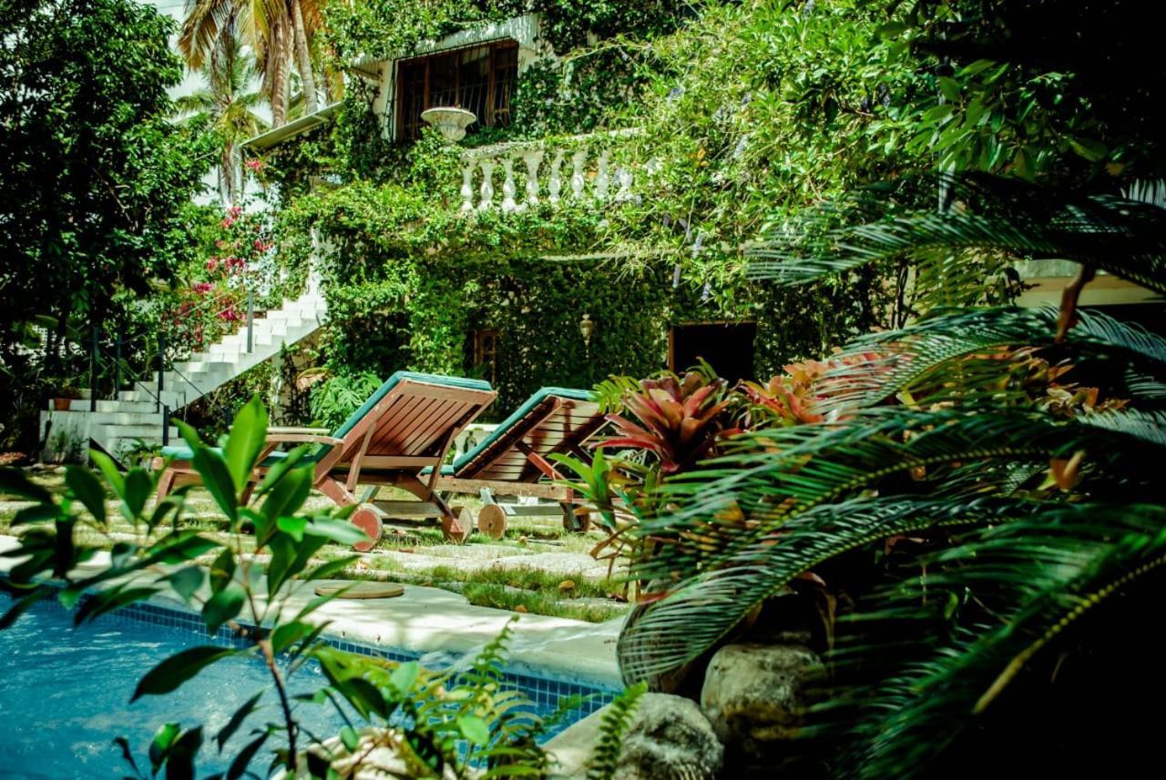 Villa Carolina Bed And Breakfast Puerto Plata Екстер'єр фото