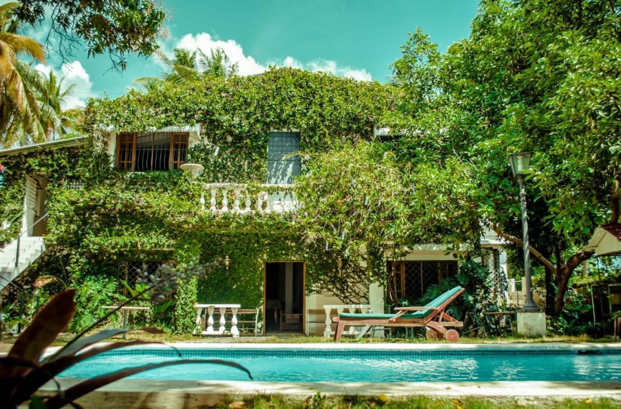 Villa Carolina Bed And Breakfast Puerto Plata Екстер'єр фото
