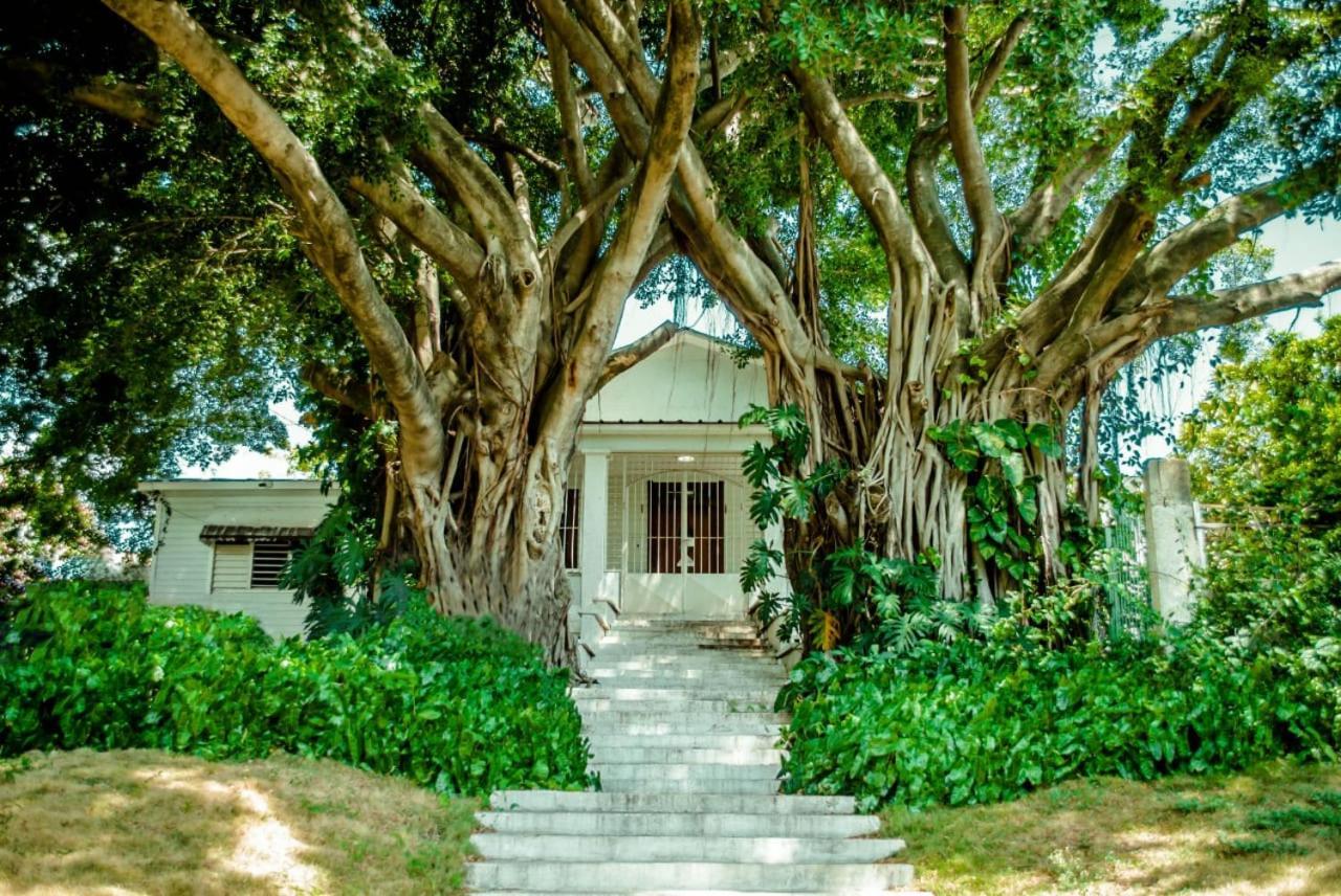 Villa Carolina Bed And Breakfast Puerto Plata Екстер'єр фото