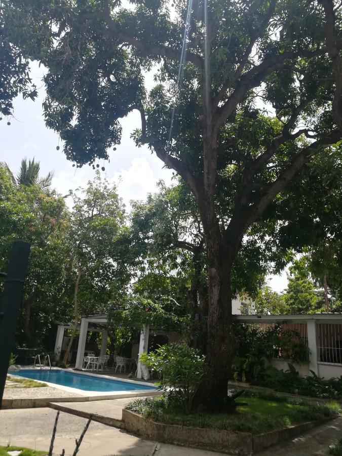 Villa Carolina Bed And Breakfast Puerto Plata Екстер'єр фото
