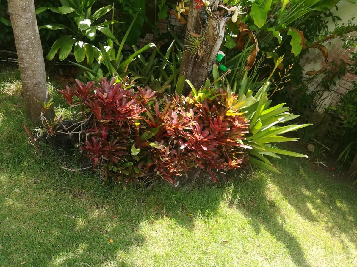 Villa Carolina Bed And Breakfast Puerto Plata Екстер'єр фото