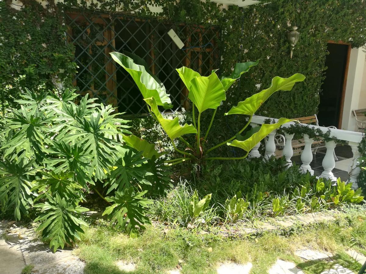 Villa Carolina Bed And Breakfast Puerto Plata Екстер'єр фото